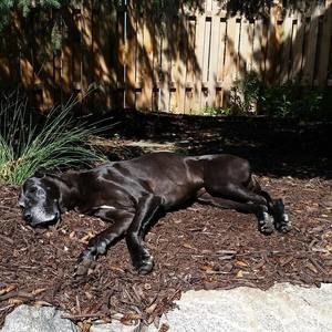 Meet your Posher, Beth